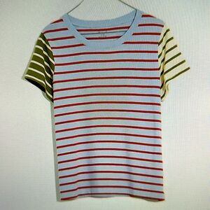 Madewell Northside Vintage Tee in Colorblock Stripe  *NWOT